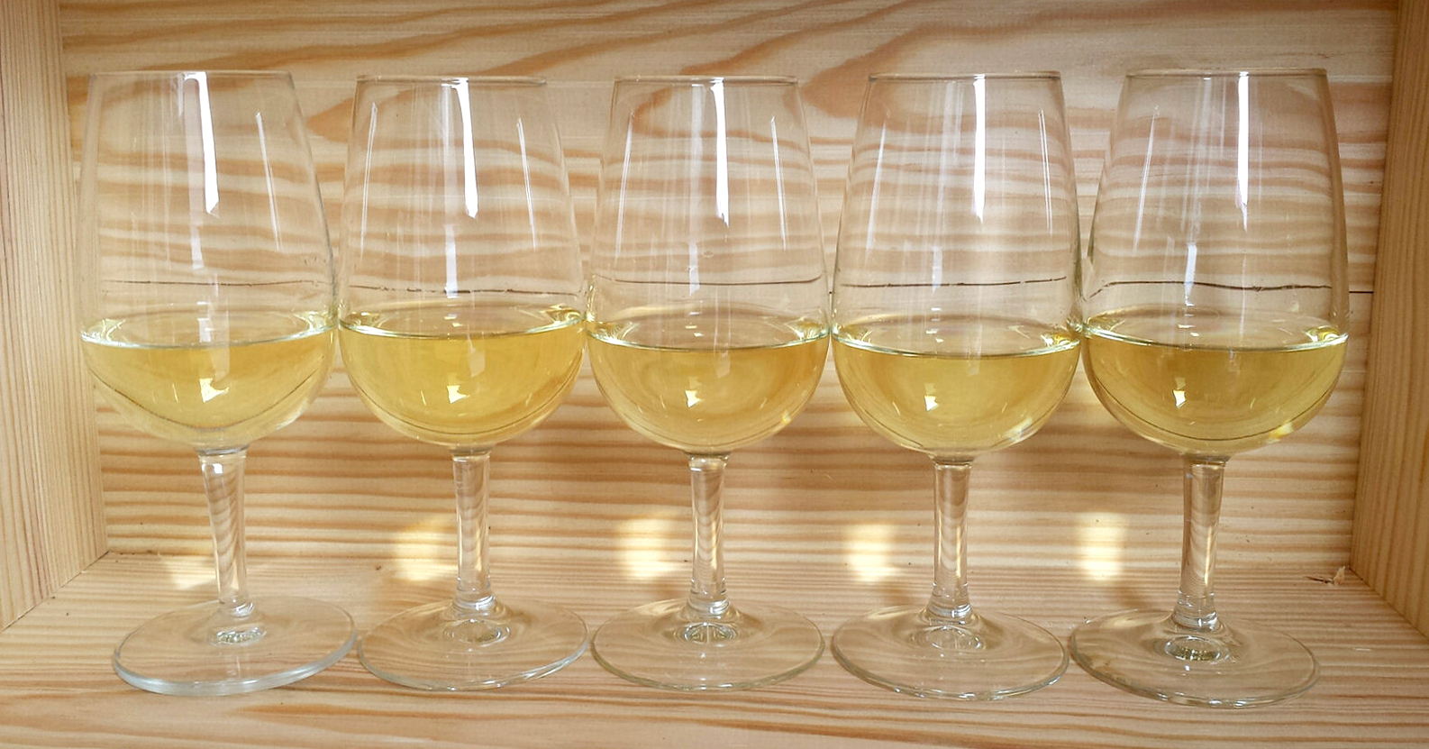 chablis-in-glass-dominic-lockyer